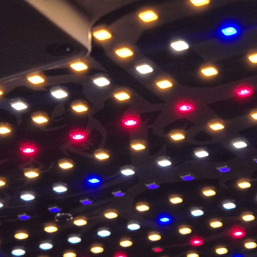 Photographie réelle des LED allumées du Rhino PRO